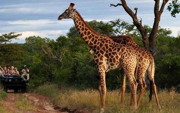 Ihre Rundreise im Detail