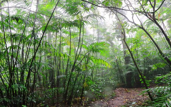 Pour aller plus loin 