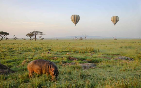 Ihre Ausflugsoptionen