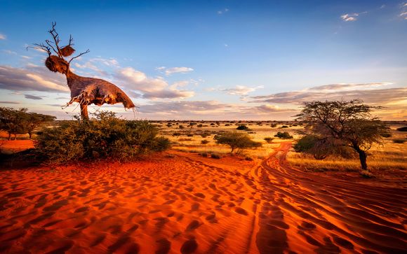 Ihre Autotour im Detail