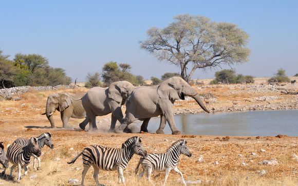 Ihre Autotour im Detail