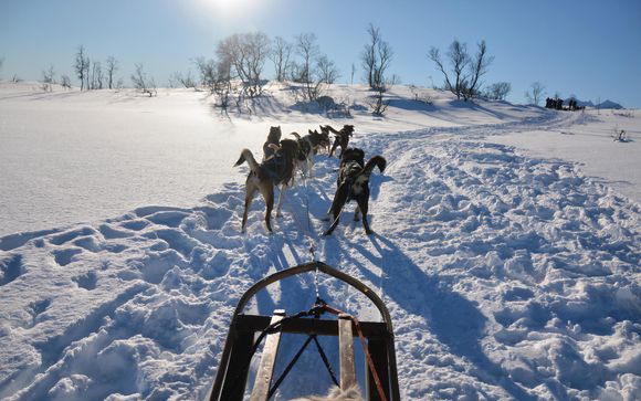 Ihre Rundereise im Detail