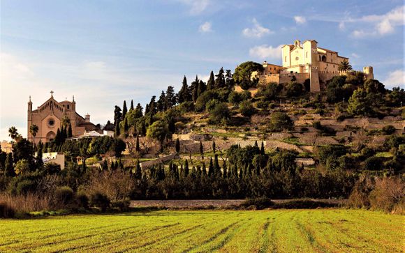 Ihre Ausflugsoptionen