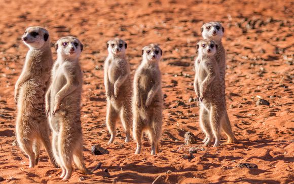 Ihre Rundreise im Detail