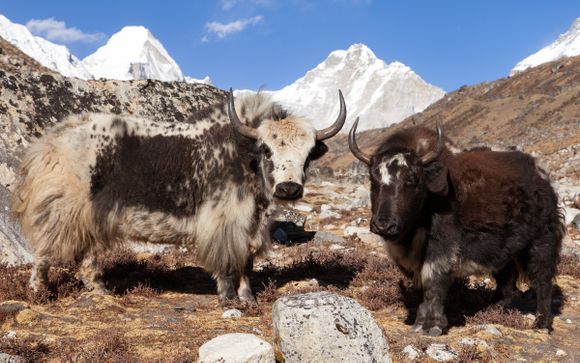 Ihre Rundreise im Überblick