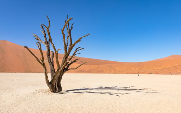 Ihre Rundreise im Detail