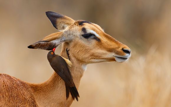 Ihre Rundreise im Detail