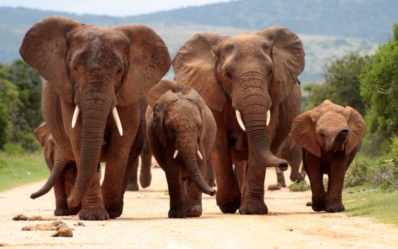 Ihre Rundreise im Detail