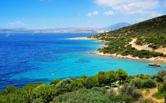 Ihre  Ausflugsoptionen