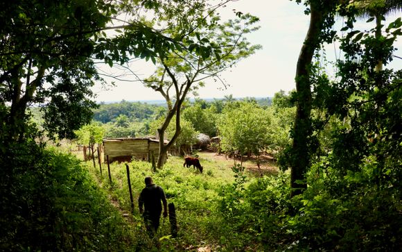 Ihre Ausflugsoptionen