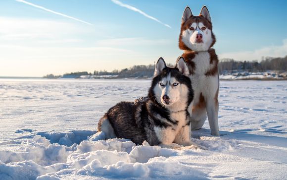Ihre Rundreise im Überblick