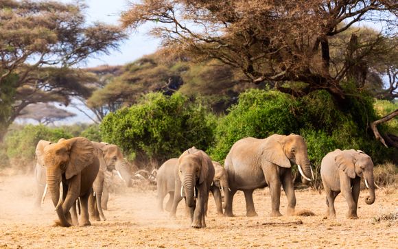 Ihre Rundreise im Detail