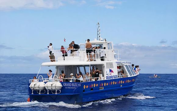 Ihre Ausflugsoptionen