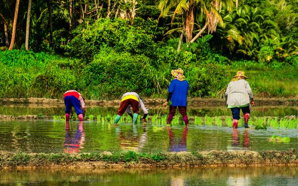 Ihre Ausflugsoptionen