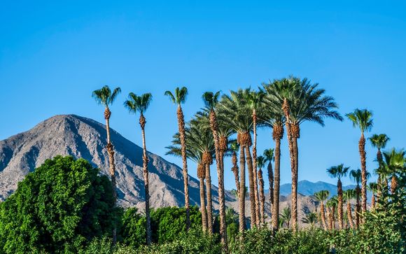 Ihre Reise im Detail