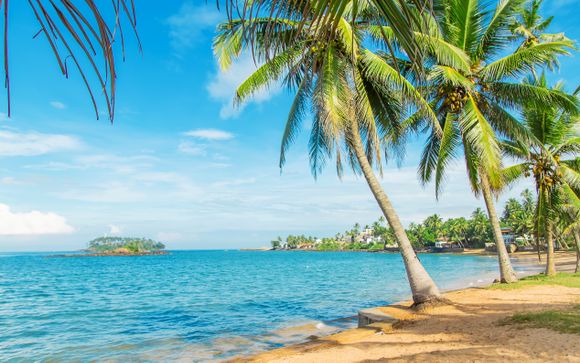 Wilkommen in Beruwala