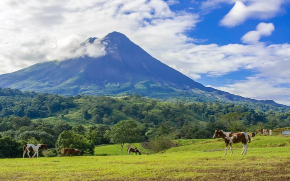 Ihre Ausflugsoptionen