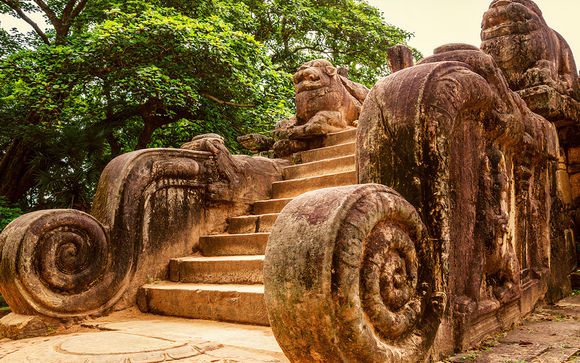 Ihre Ausflugsoptionen