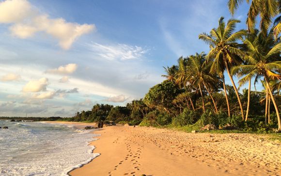 Rendez-vous à... Balapitiya