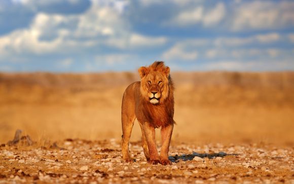 Zoom sur vos itinéraires suggérés