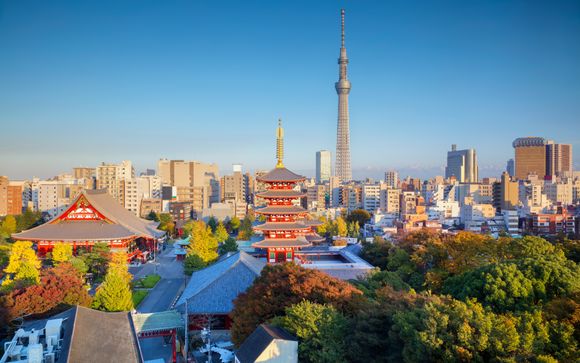 Ihre Ausflugsoptionen