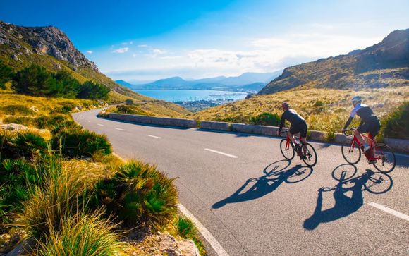 Ihre  Ausflugsoptionen