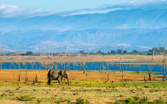 Ihre Ausflugsoptionen