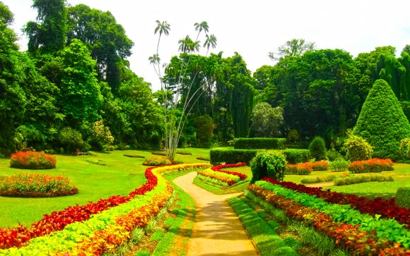 Ihre Ausflugsoptionen
