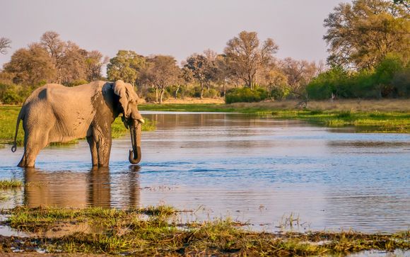 Ihre Reise im Detail