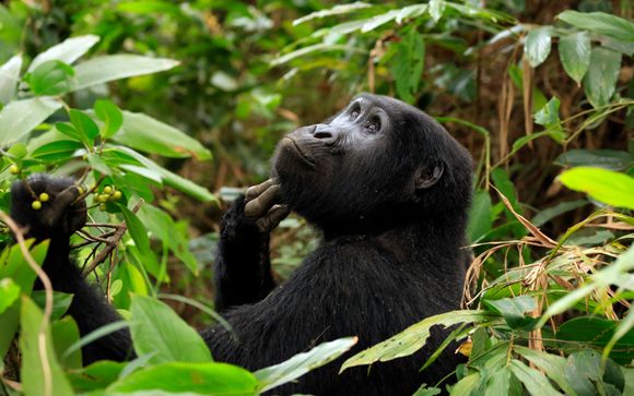 Ihre Rundreise im Überblick
