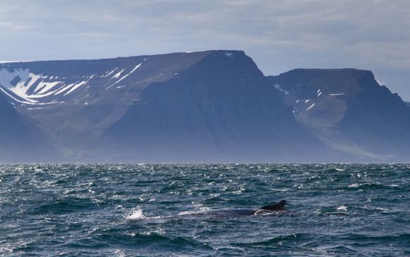 Ihre Rundreise im Detail