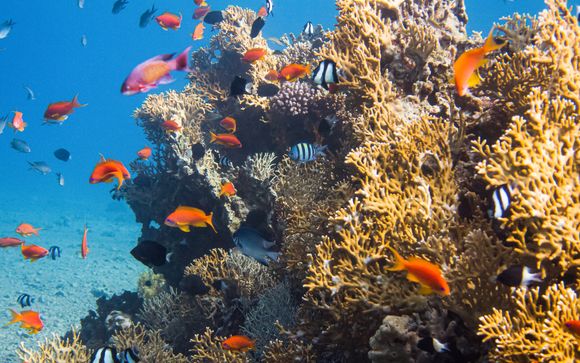 Ihre Ausflugsoptionen