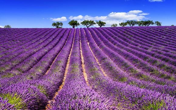 Ihre  Ausflugsoptionen