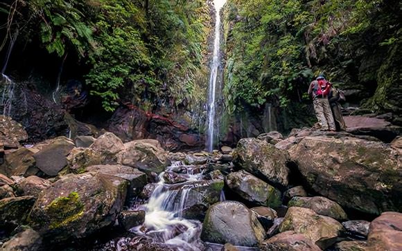 Ihre Ausflugsoptionen