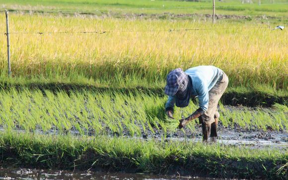 Ihre Reise im Überblick
