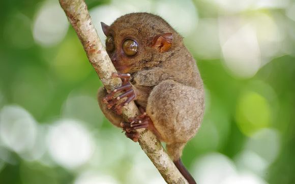 Ihre Reise im Detail