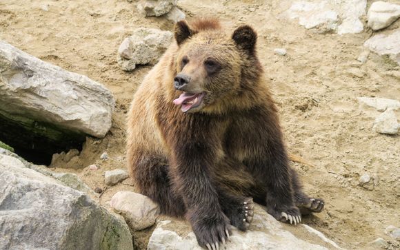 Ihre Ausflugsoptionen