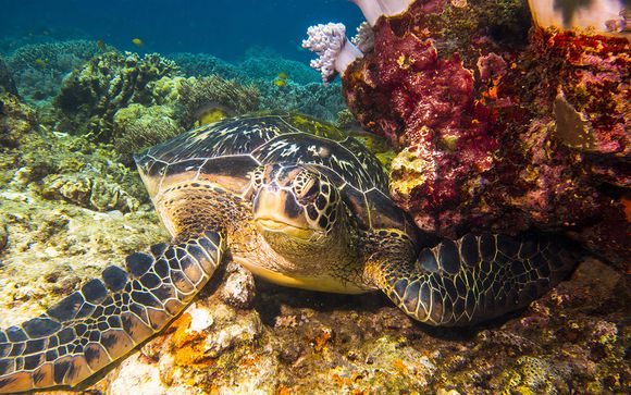 Ihre Rundreise im Detail