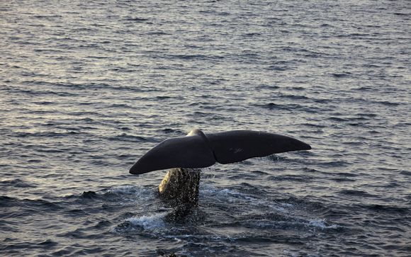 Ihre Rundreise im Überblick 