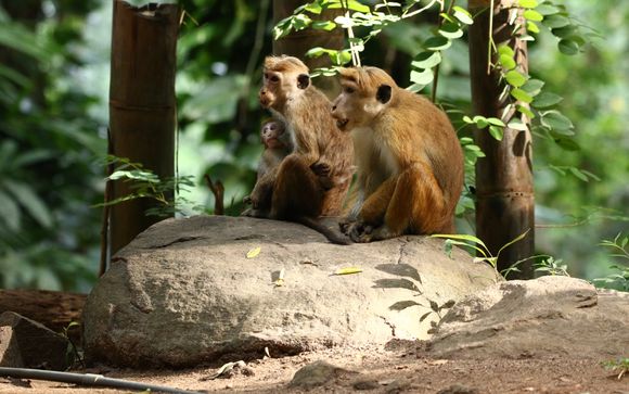 Ihre Rundreise im Überblick