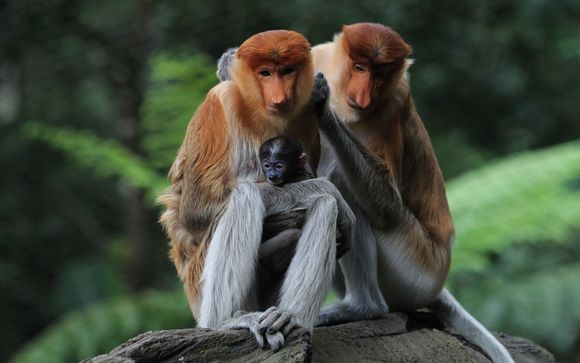 Ihre Rundreise im Detail