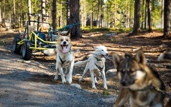 Im Angebot enthalten