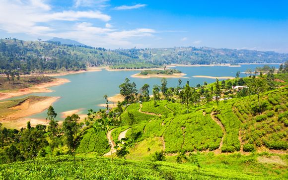 Ihre Rundreise im Detail