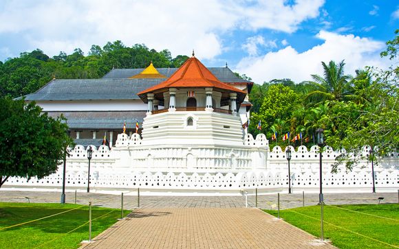 Ihre  Ausflugsoptionen