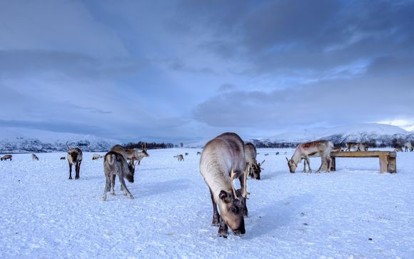 Ihre Rundreise im Detail