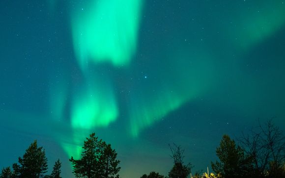 Ihre Ausflugsoptionen