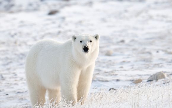 Ihre Ausflugsoptionen