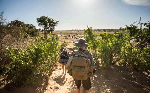 Ihre Ausflugsoptionen