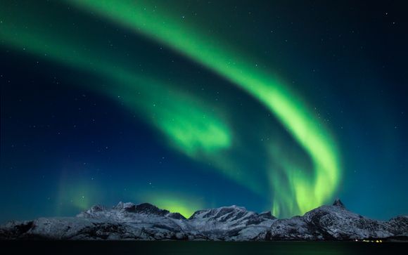 Im Angebot enthalten