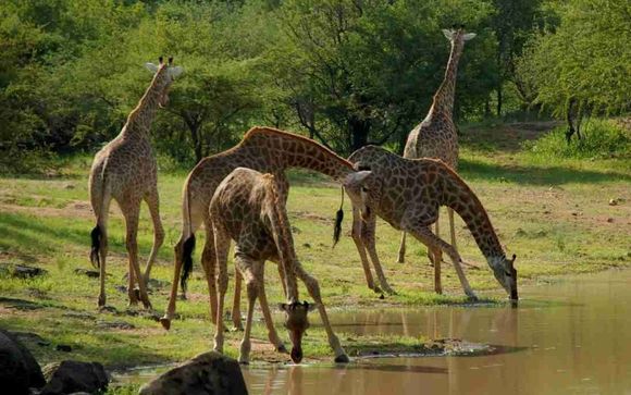 Ihre Reise im Überblick